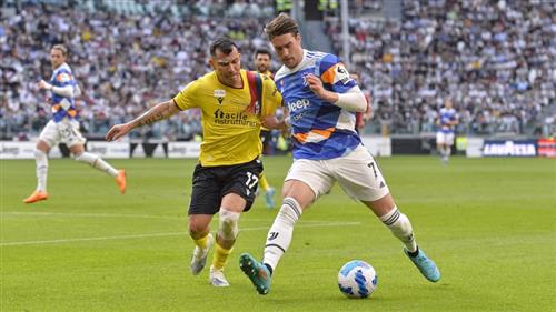 Starlight Bet: Best Lighting for Homeowners